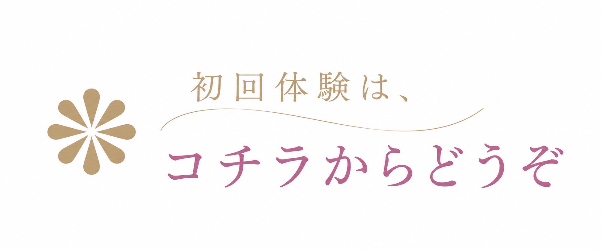 初回体験画像