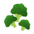 ブロッコリー